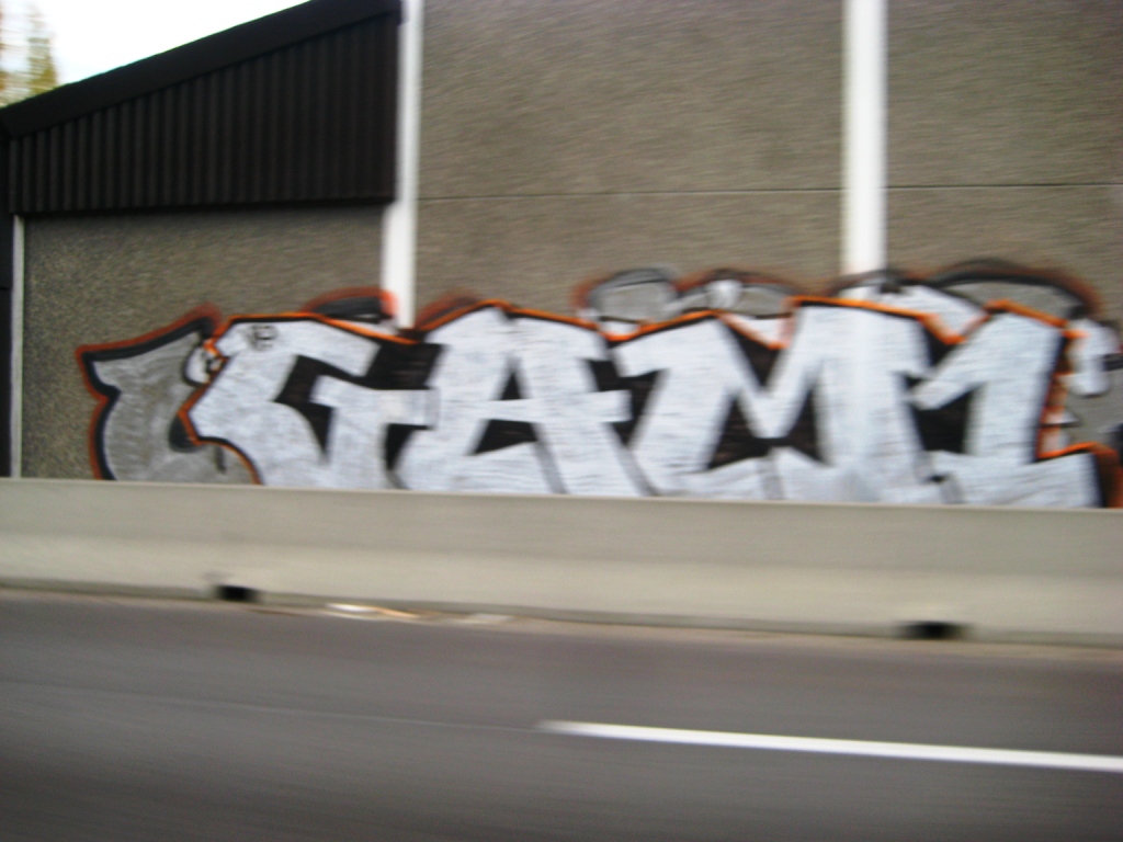 GAM1