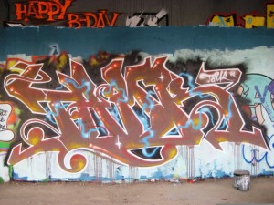 besac Arènes 24.11.11 tamr (2)