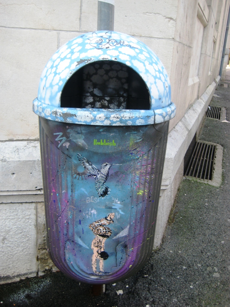 besancon 12.02.12 Rubbish