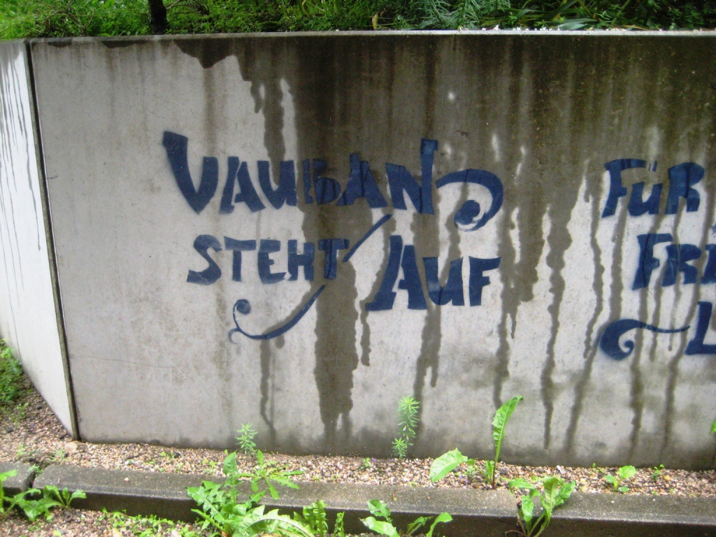 Street Art Freiburg DE 08.06.12 Stencil Rhino bleibt - squat (1)