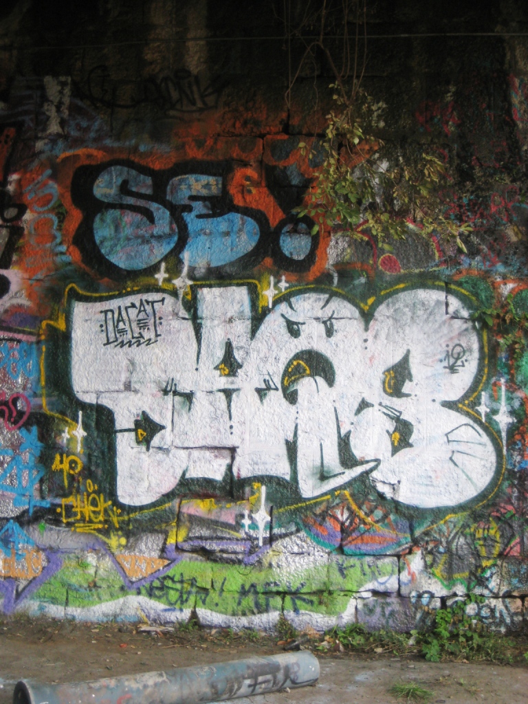 besancon - graffiti - 09.10.12 (5)