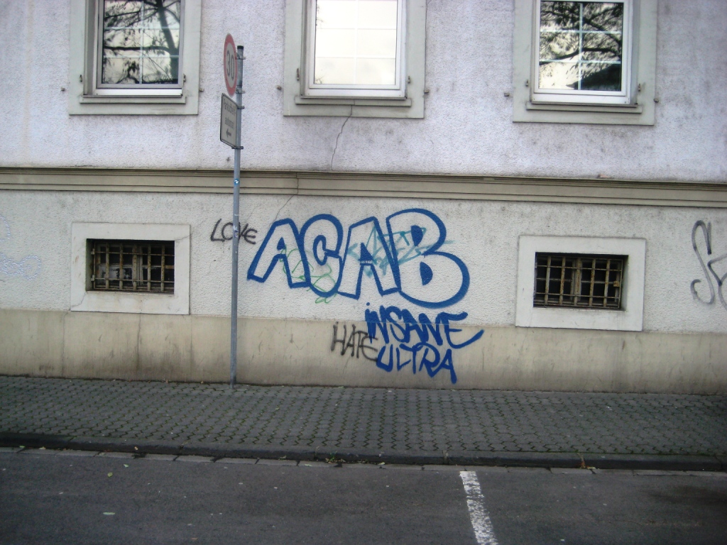 TRIER-GRAFFITI-29.11.12 ACAB Insane Ultra