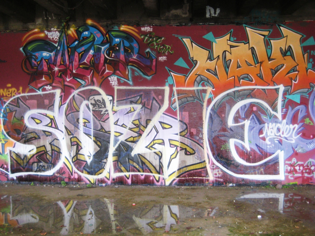 besancon 10.12.12 Sozie - graffiti