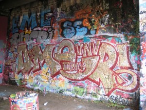 besancon 10.12.12 graffiti Amer (1)