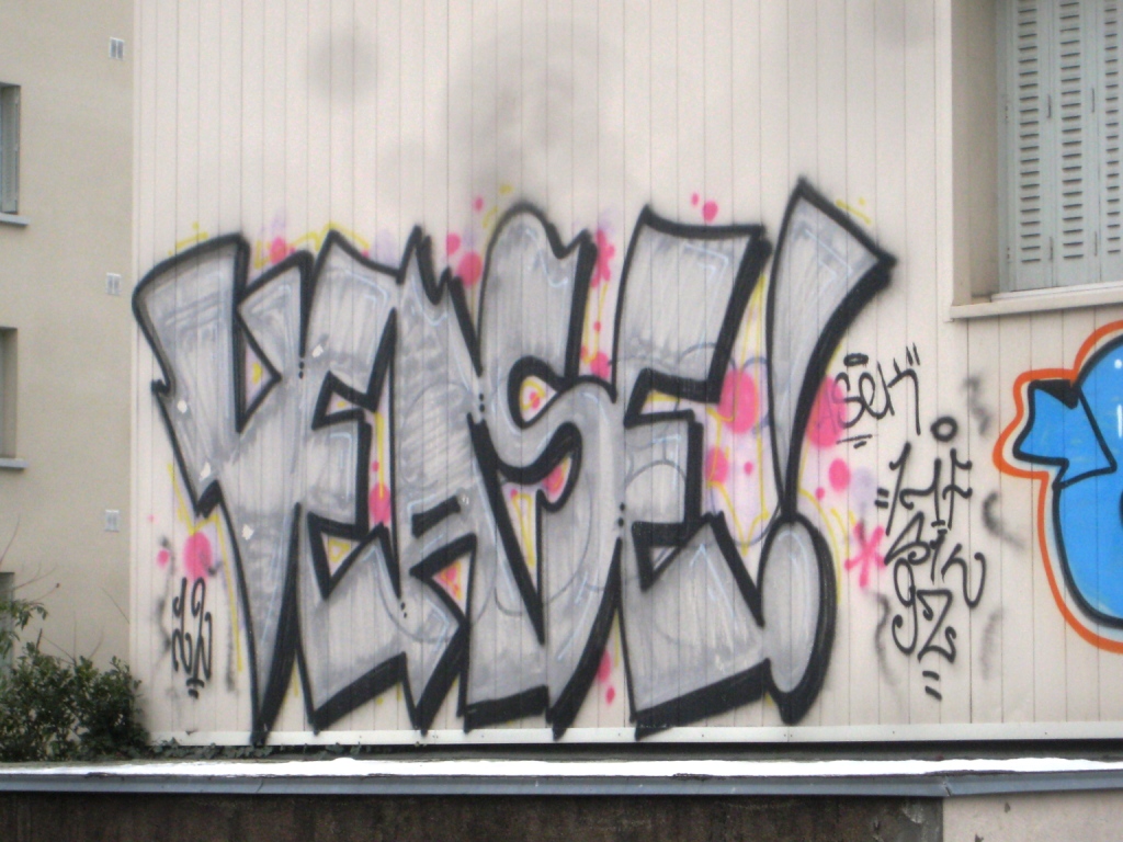 besancon 10.12.12 graffiti Vease, Oner (1)
