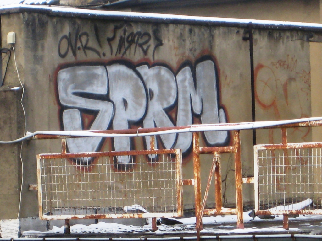 Forbach 13.01.13_SPRM (1)