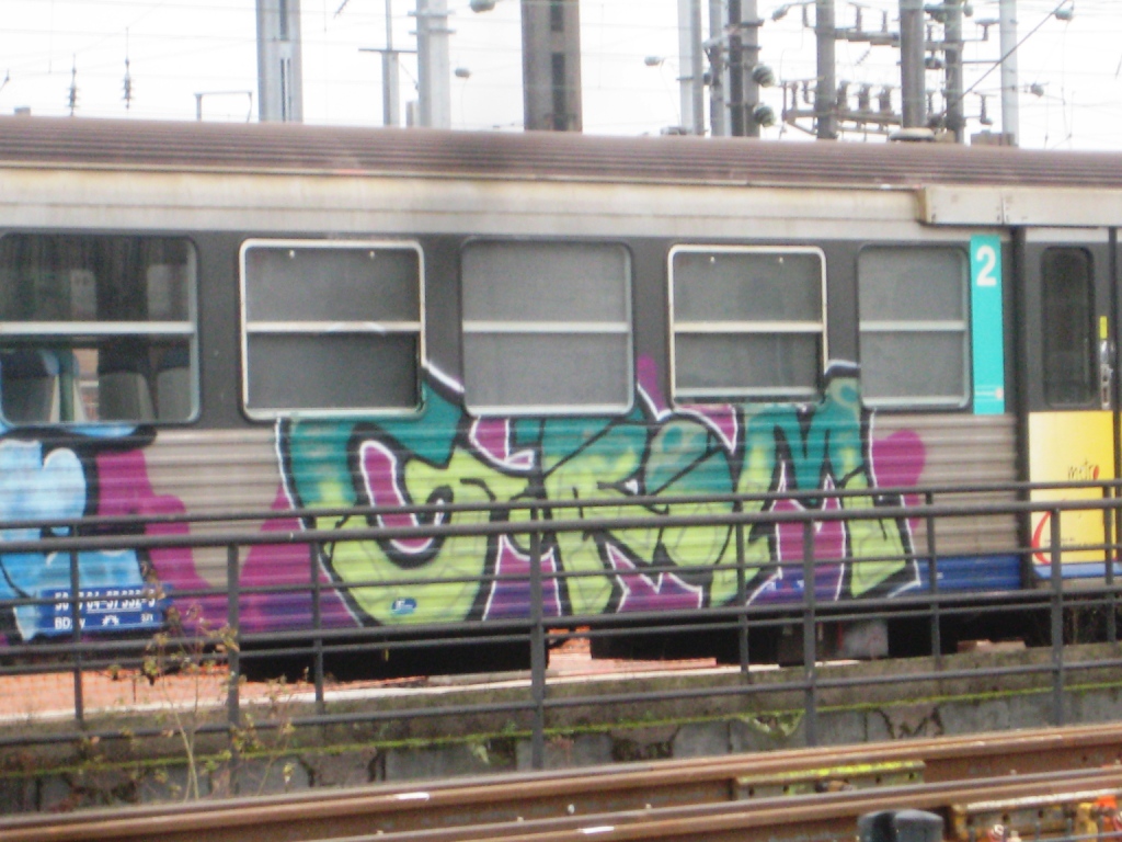 METZ 08.01.2013 Train - Oshie, G-Rom, Sice (2)