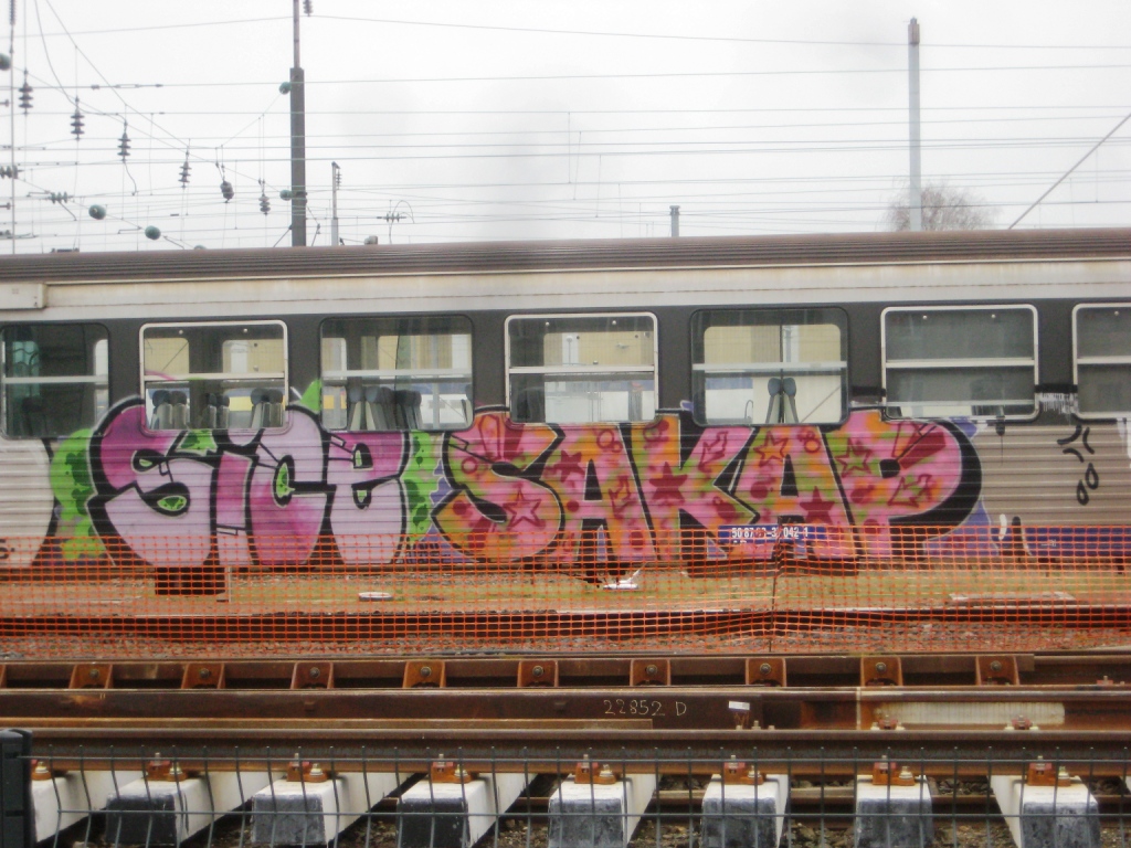 METZ 08.01.2013 graffiti Train - ESB, LPS, Sice, Sakap (2)