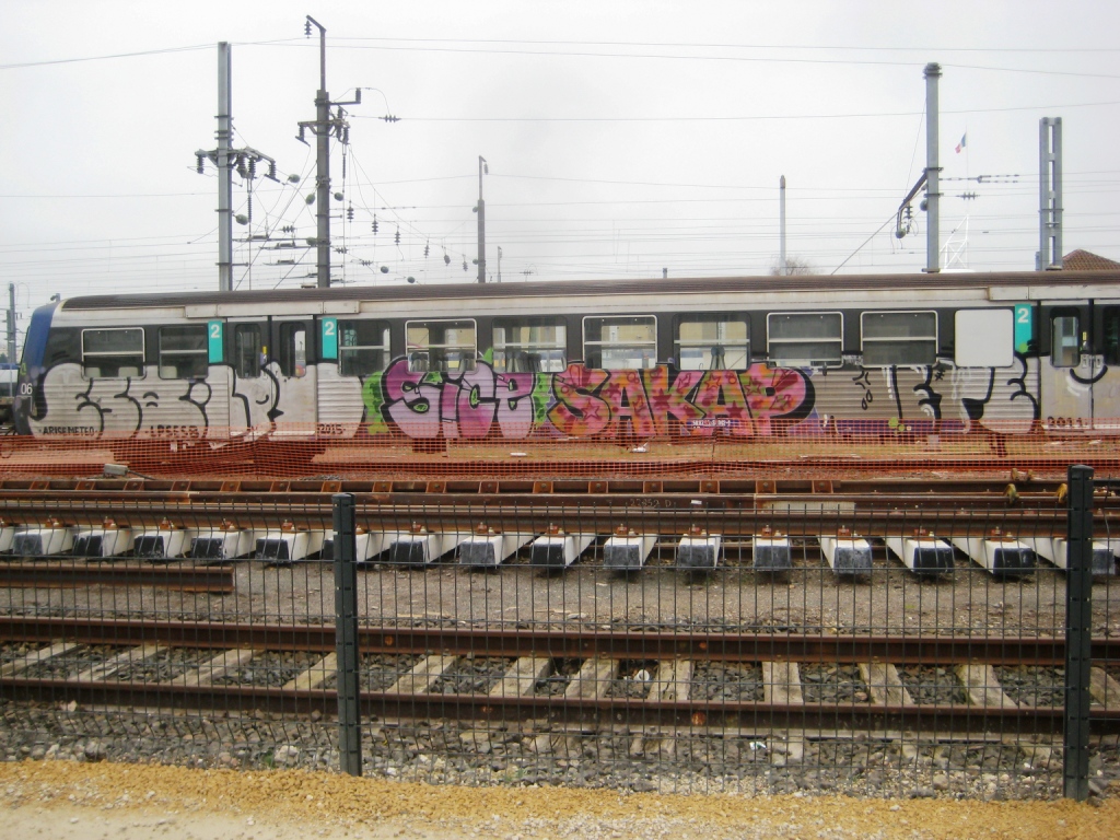 METZ 08.01.2013 graffiti Train - ESB, LPS, Sice, Sakap