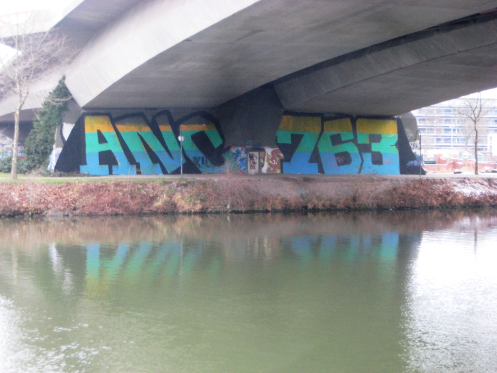 Saarbrücken_Graffiti_13.01.13_ANC-763 (1)