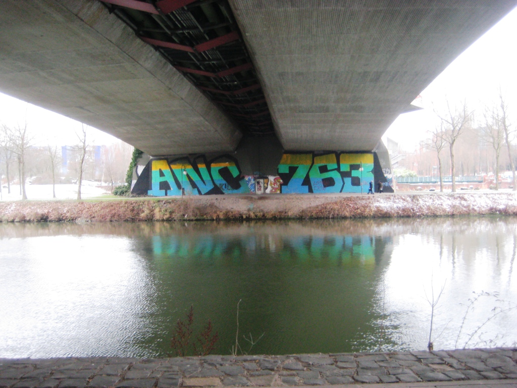 Saarbrücken_Graffiti_13.01.13_ANC-763 (2)