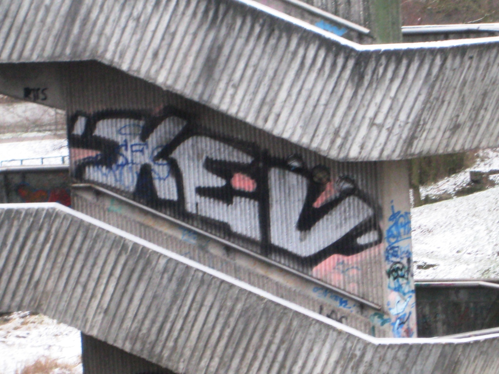 Saarbrücken_Graffiti_13.01.13_Xev (1)