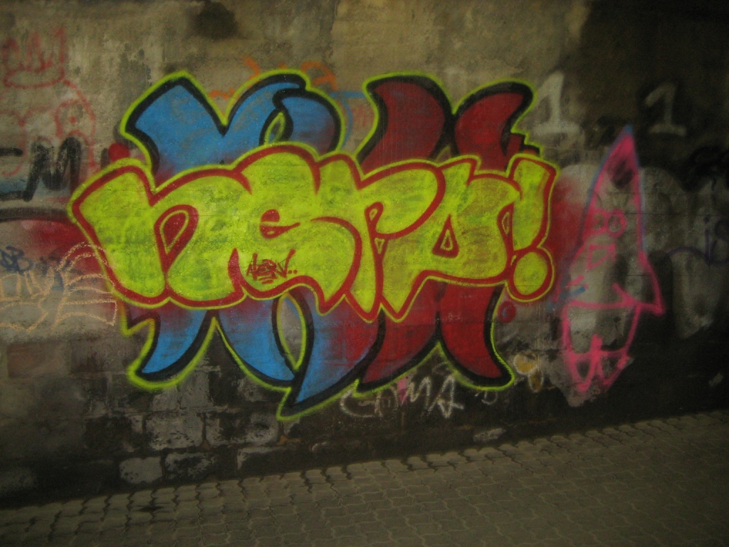 Saarbrücken_Graffiti_13.01.13_Nerv