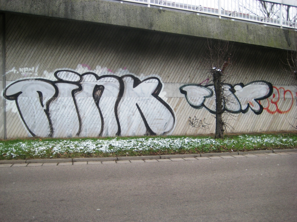 Saarbrücken_Graffiti_13.01.13_Pink (1)