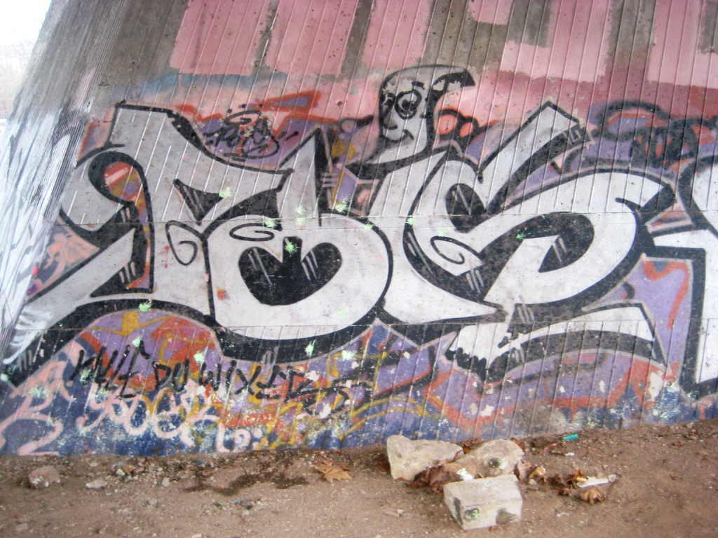 Saarbrücken_Graffiti_13.01.13_Pois, Stum (1)
