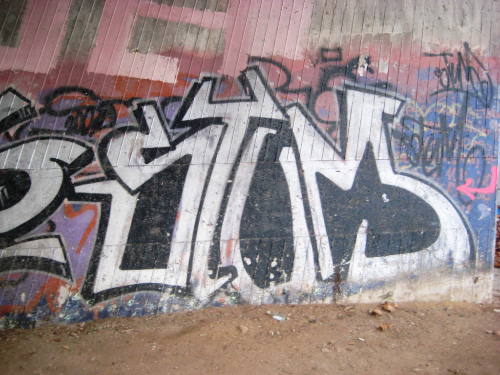 Saarbrücken_Graffiti_13.01.13_Pois, Stum (2)
