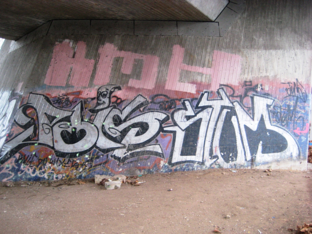 Saarbrücken_Graffiti_13.01.13_Pois, Stum