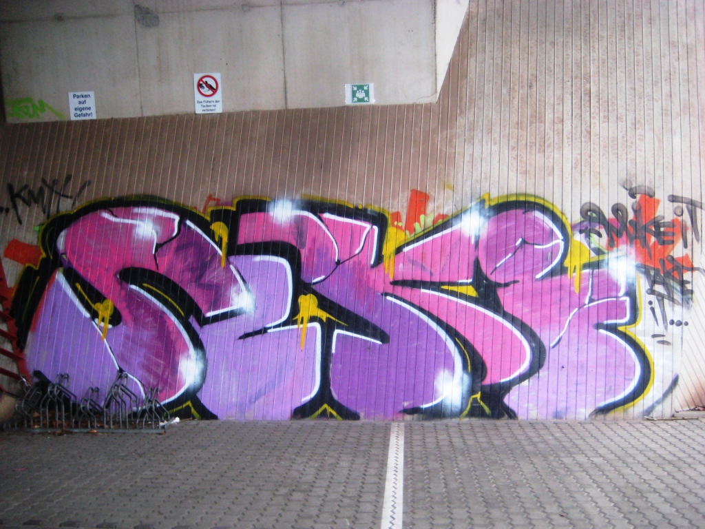 Saarbrücken_Graffiti_13.01.13_Seki, ANC (1)