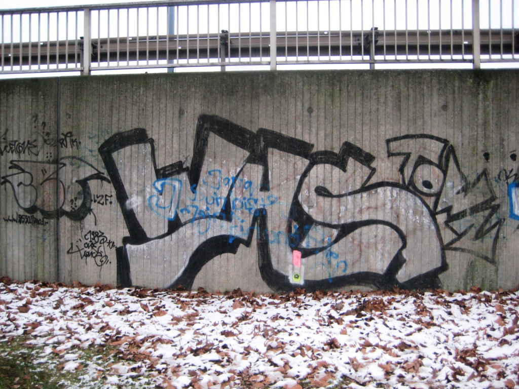 Saarbrücken_Graffiti_13.01.13_WHStown