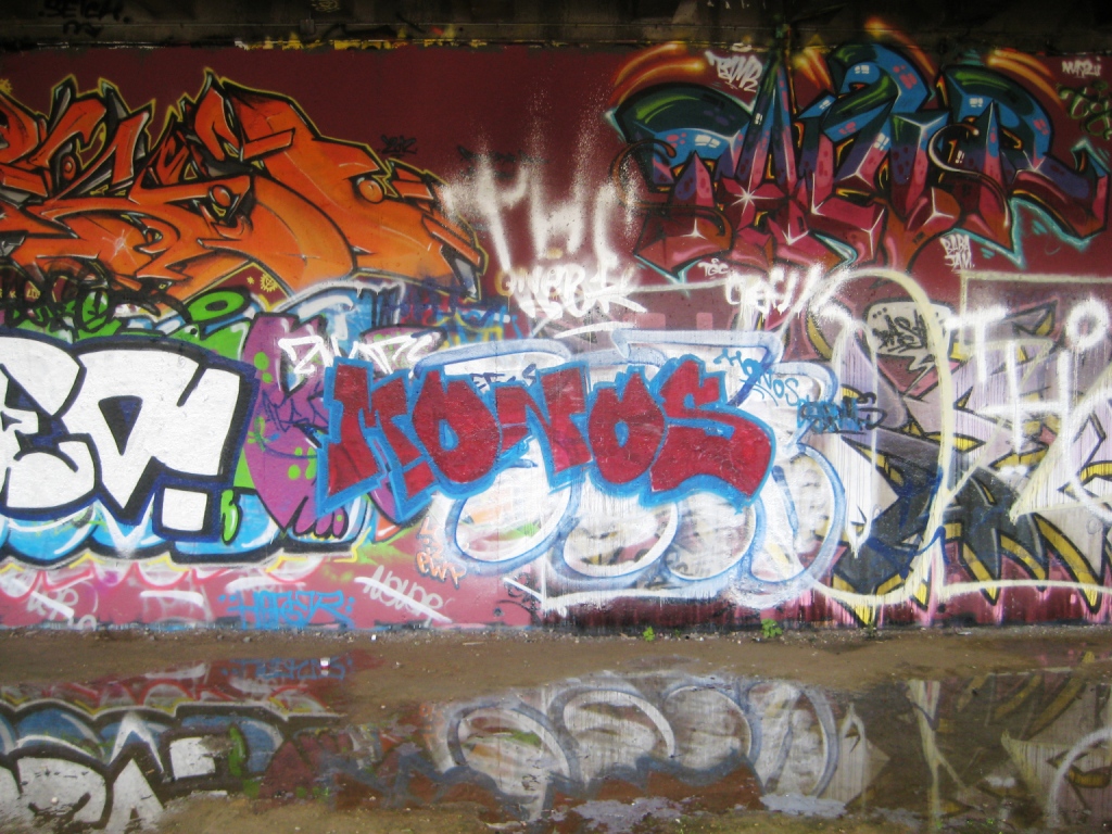 besancon 23.12.12 Monos-graffiti