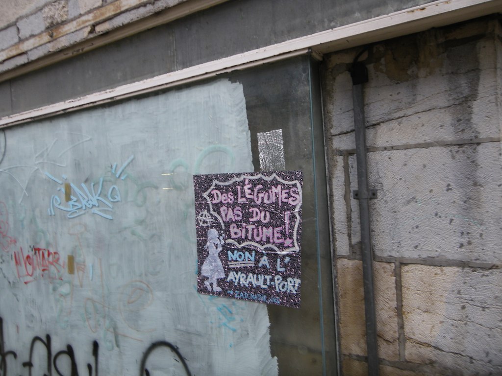 besancon - janv 2013 - soutien ZAD - des légumes pas du bitume