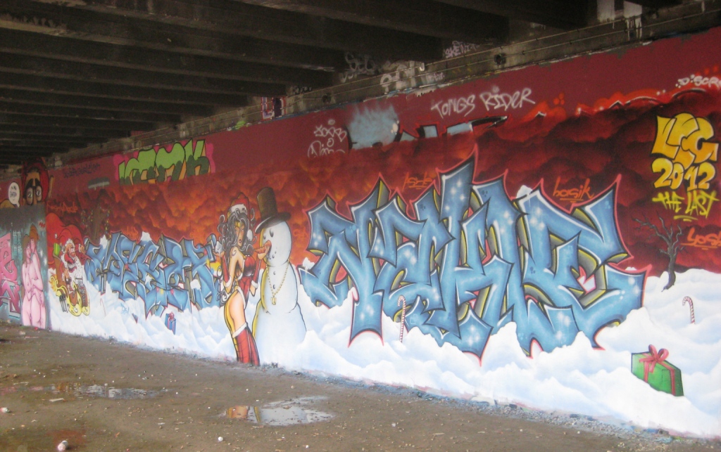 graffiti - besancon janvier 2013 (17)