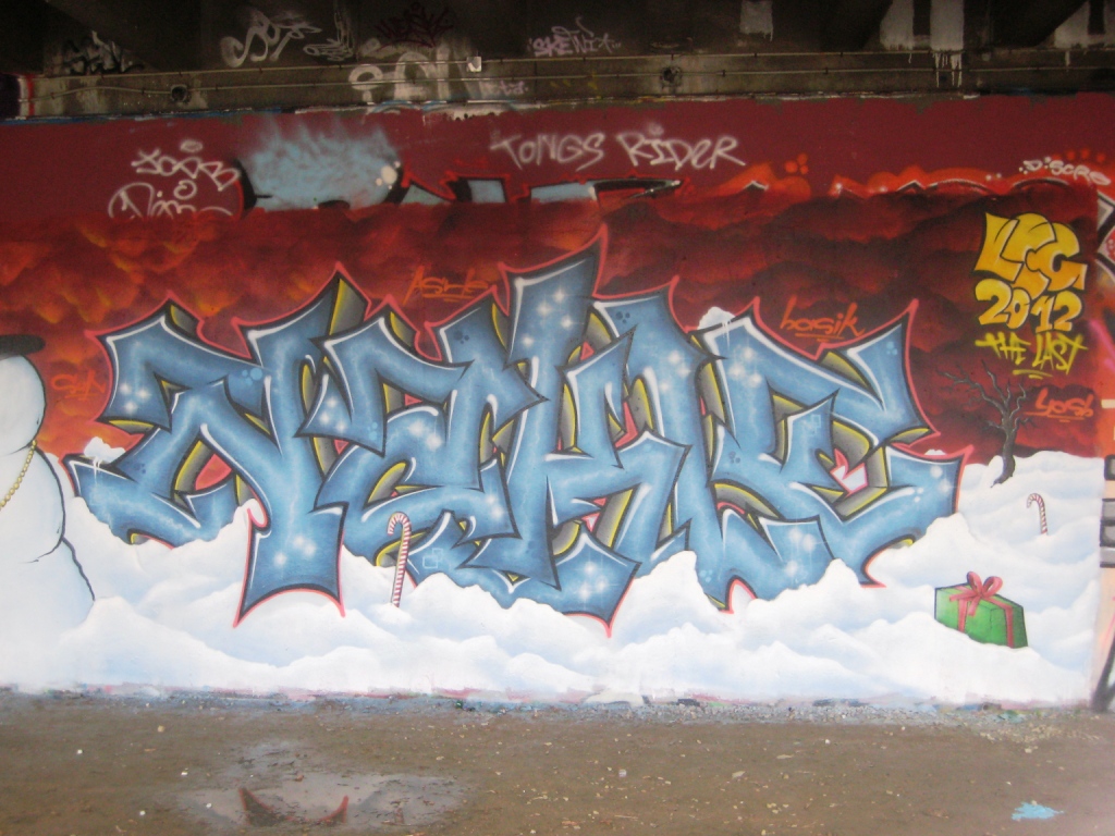 graffiti - besancon janvier 2013 (19)