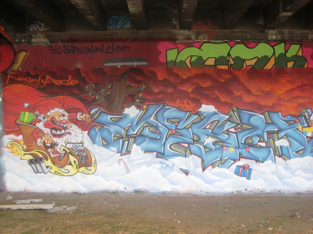 graffiti - besancon janvier 2013 (20)