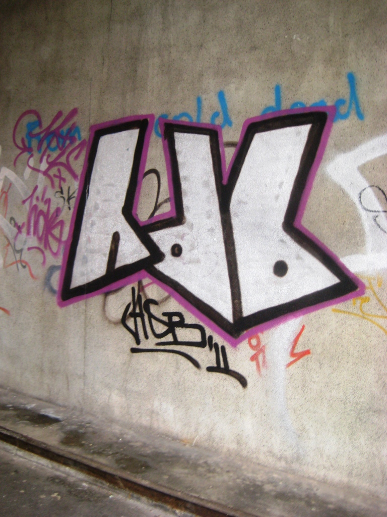 Saarbrücken_Graffiti_13.01.13_HDB (1)