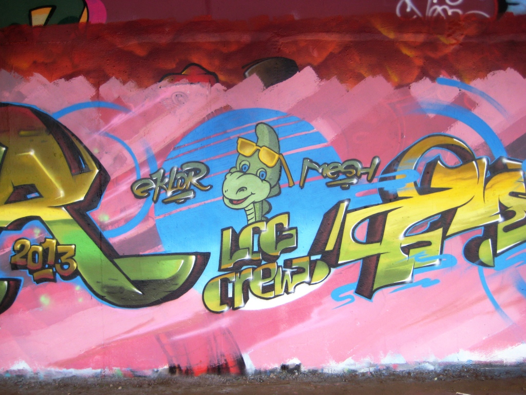 besak 11.02.13_graffiti_eklor_mesh_denver (3)