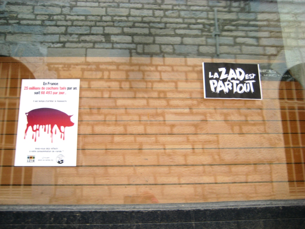 besak 11.02.13_la zad est partout