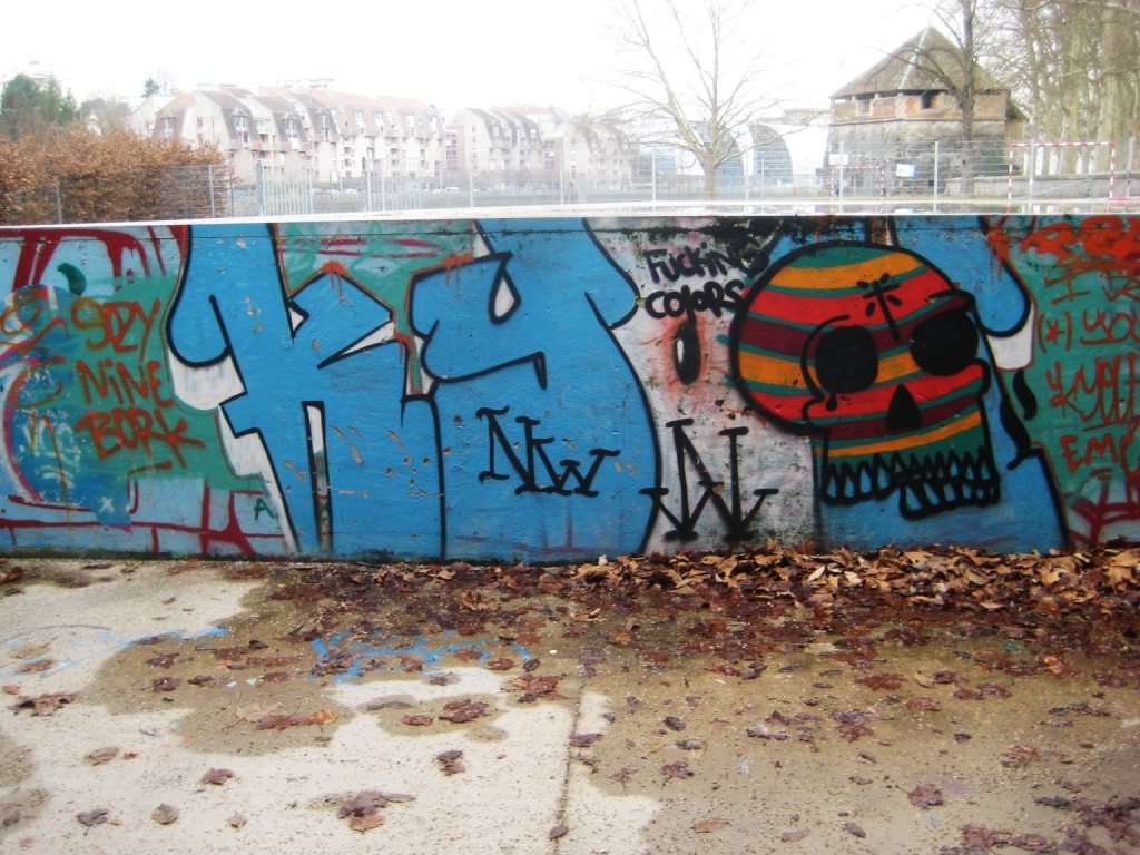 besancon 23.12.12 Fucking colors_graffiti (1)