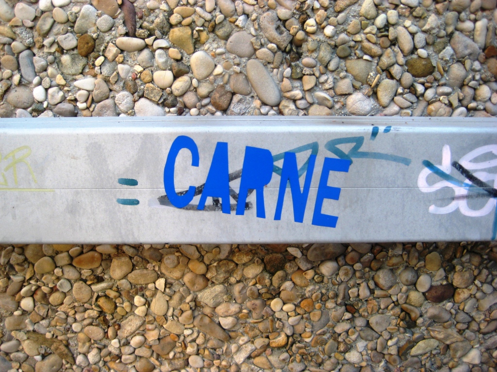 besancon nov 2011_sticker_carne
