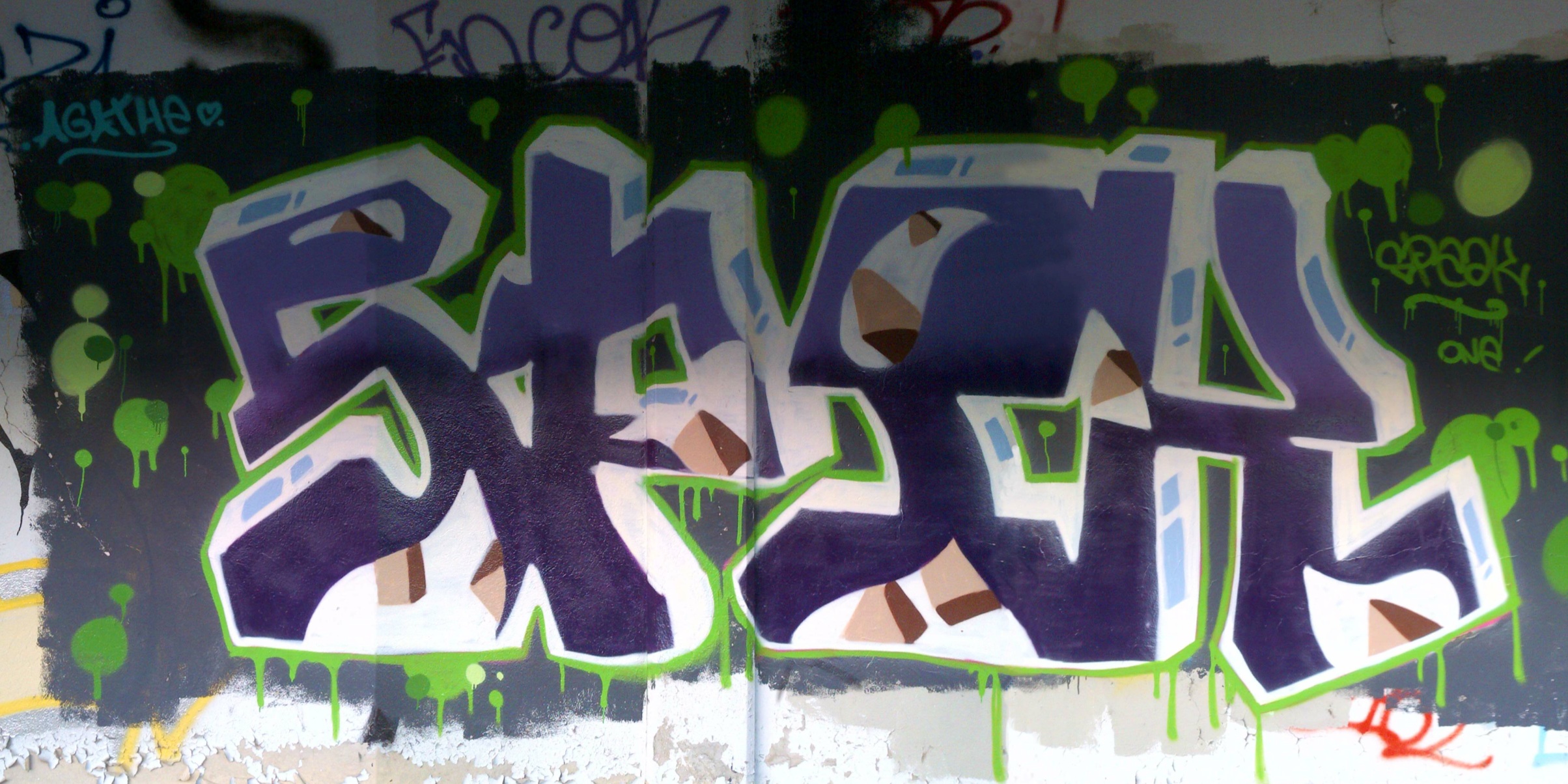 fresque Rhodia_graffiti_besancon_2012 (1)