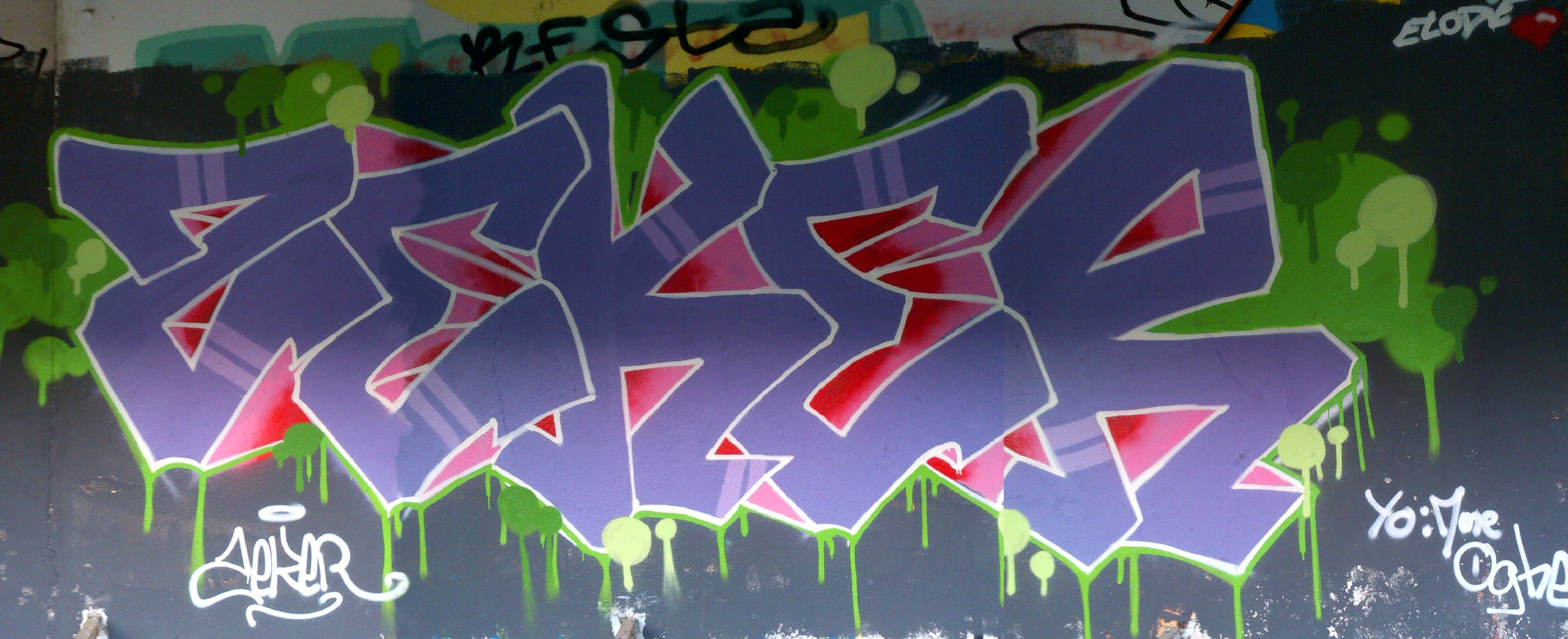 fresque Rhodia_graffiti_besancon_2012 (4)