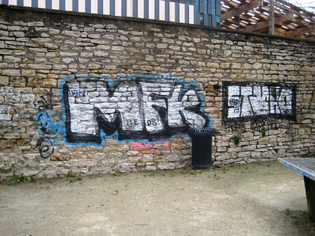 graffiti - besancon janvier 2013 MFK-Stane