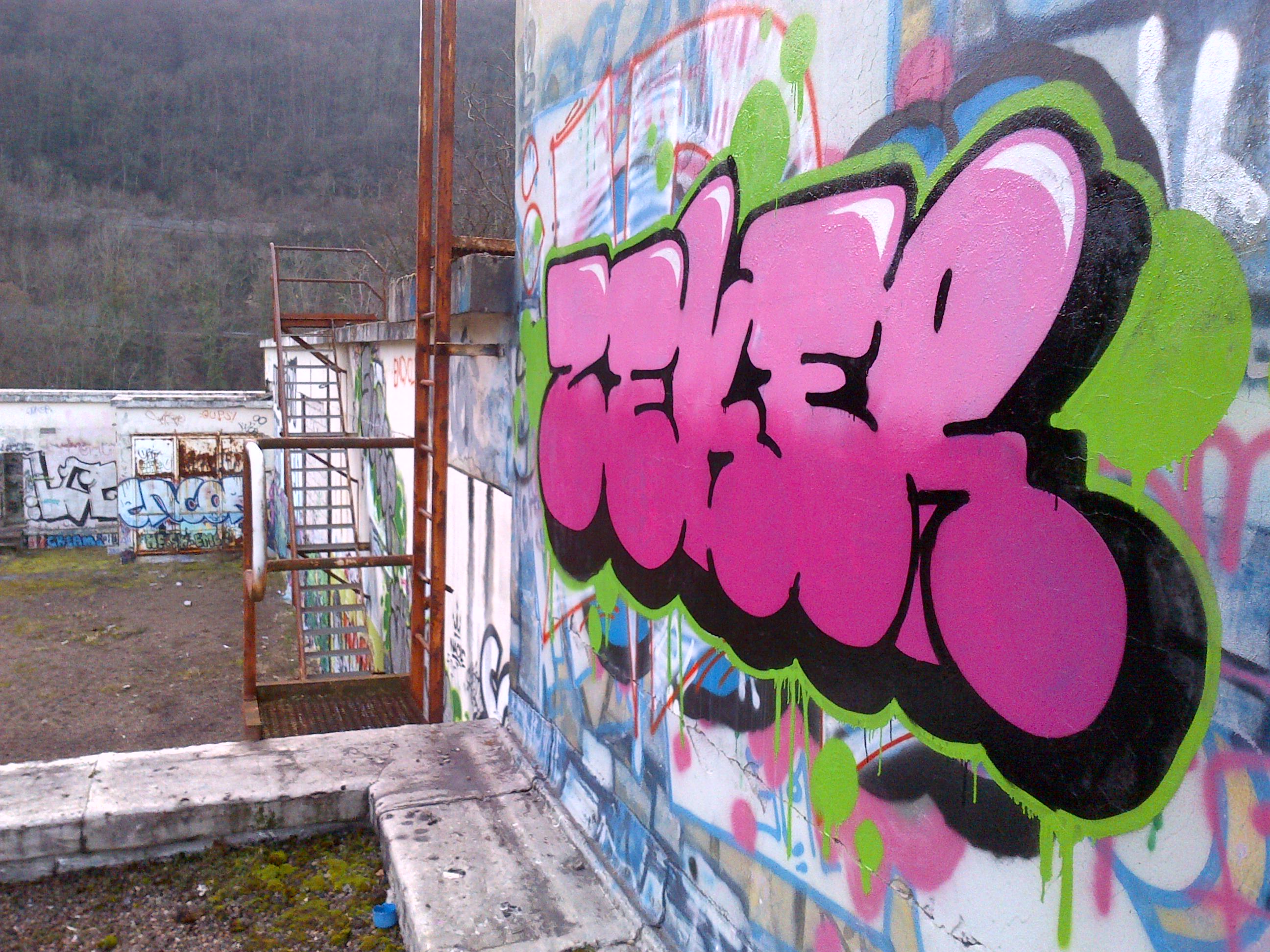 rhodia_zeker_graff_2012