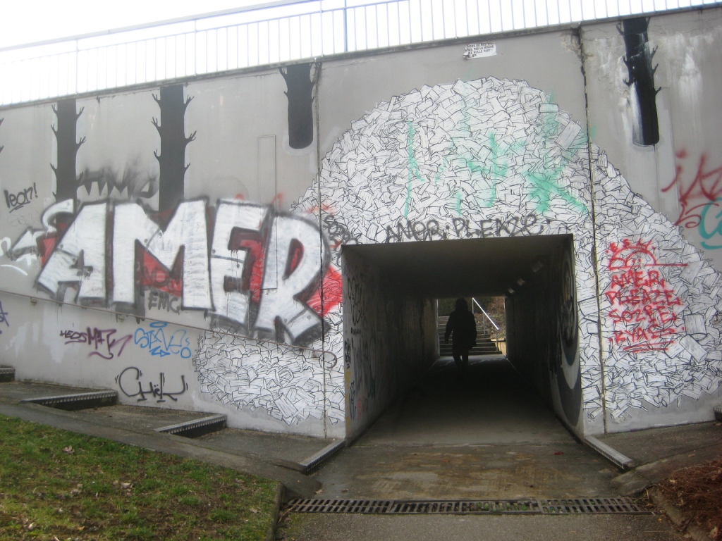 besancon_10.03.13_Amer_graffiti (1)