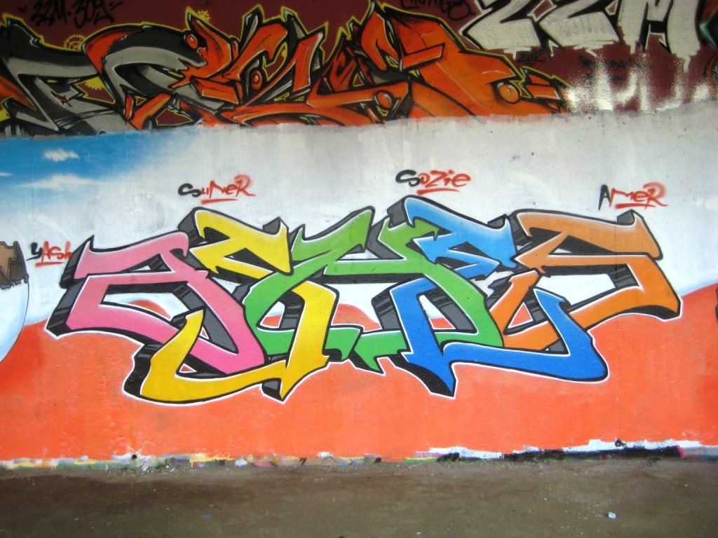 besancon_10.03.13_graffiti_LCG_Surprise (3)