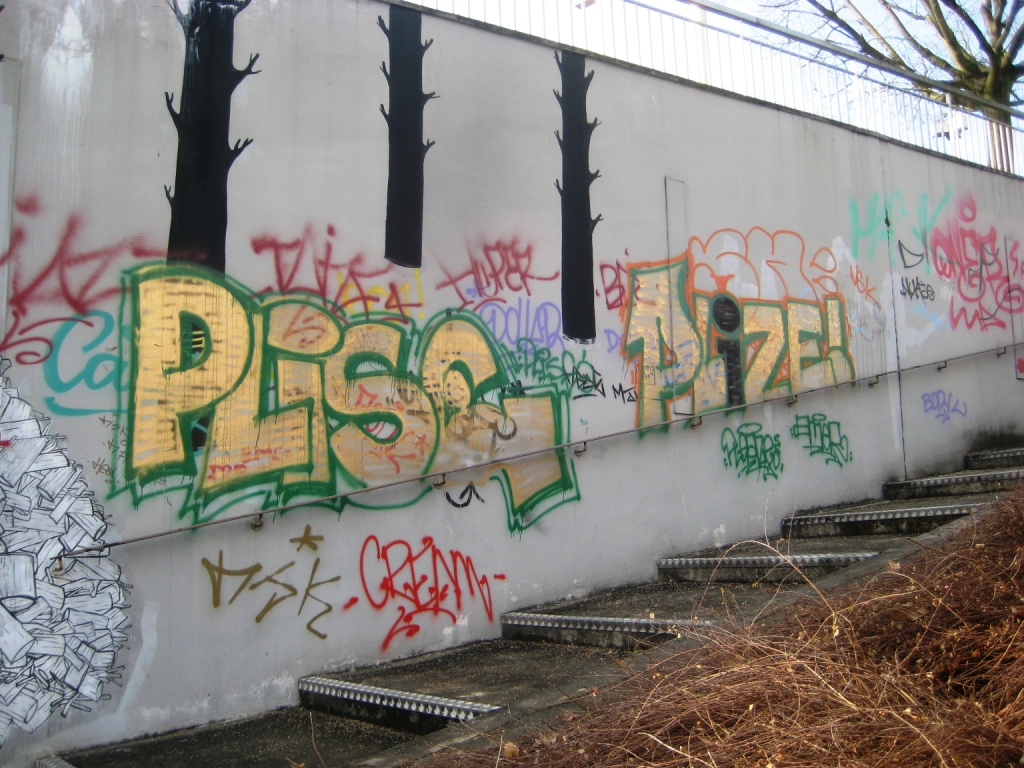 besancon_10.03.13_plize_plise_graffiti