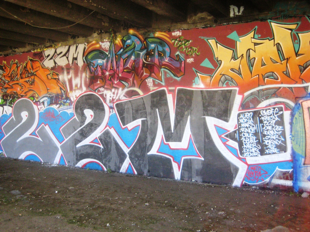 dec 2012 - graffiti 22M - besancon (1)