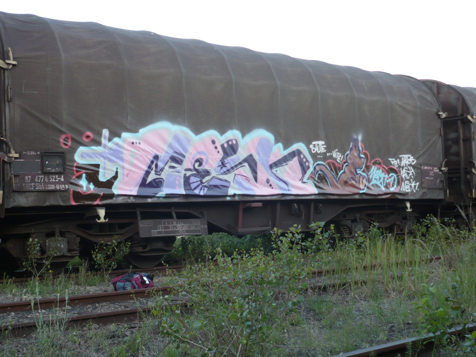 mesk-saute _vite-graffiti-fret-strasbourg (1)