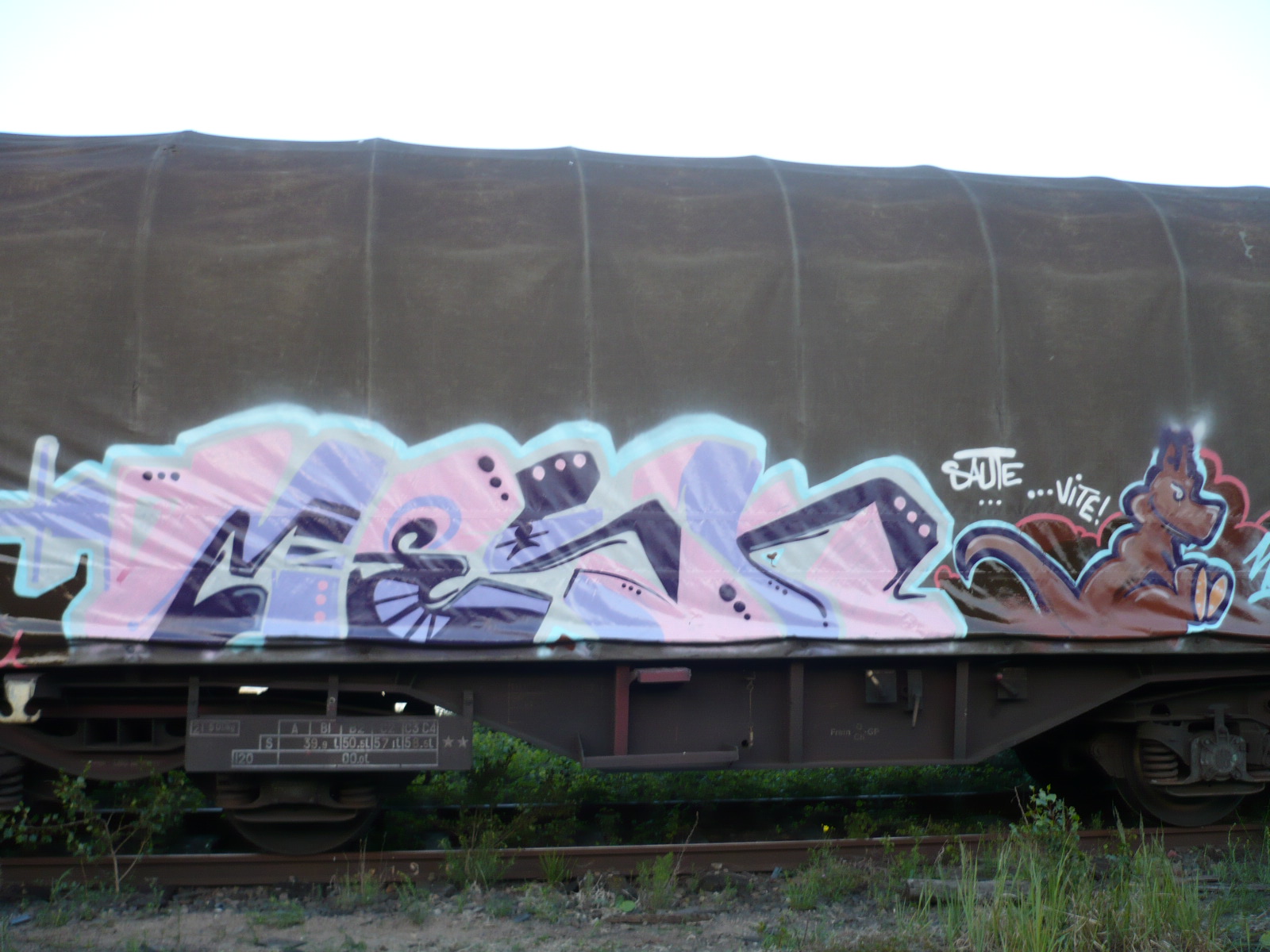 mesk-saute _vite-graffiti-fret-strasbourg