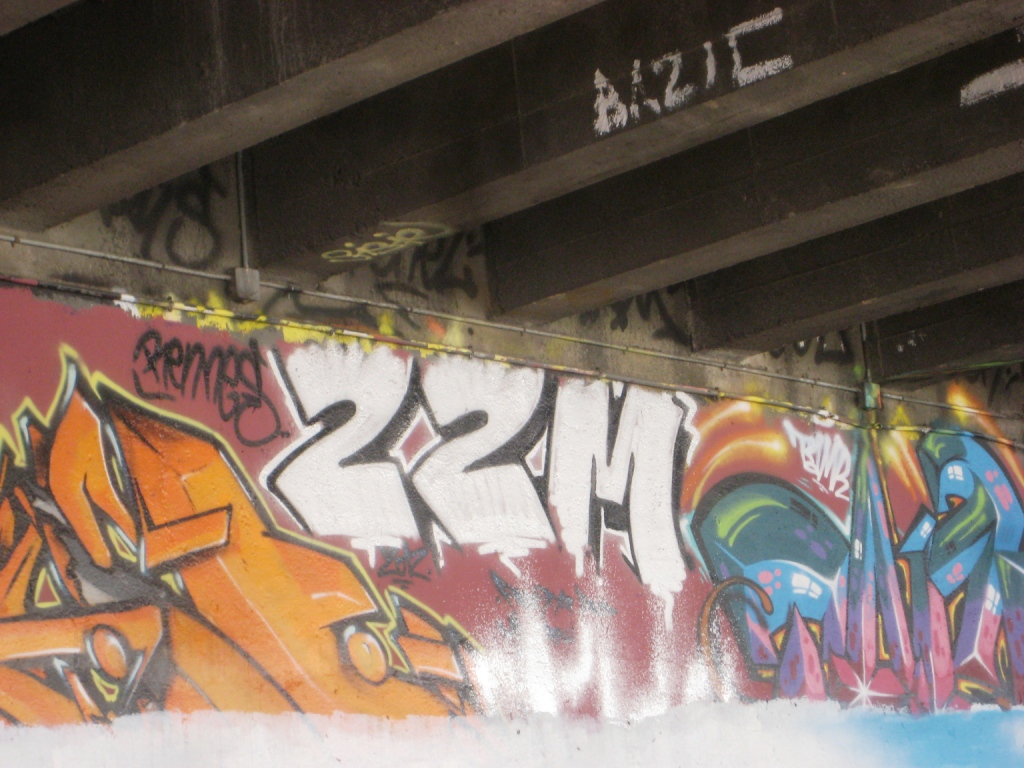 besancon_10.03.13 graffiti - 22M