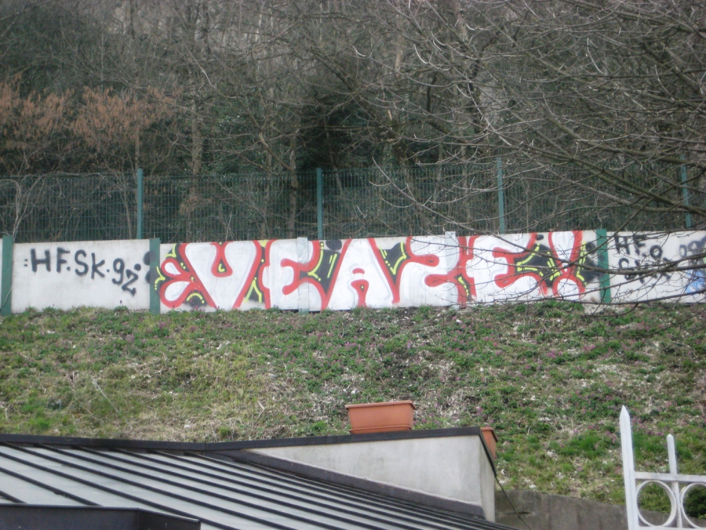 mars 2013 - besancon Veaze - graffiti