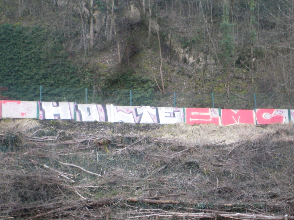 mars 2013 - besancon -graffiti - Holte, EMC