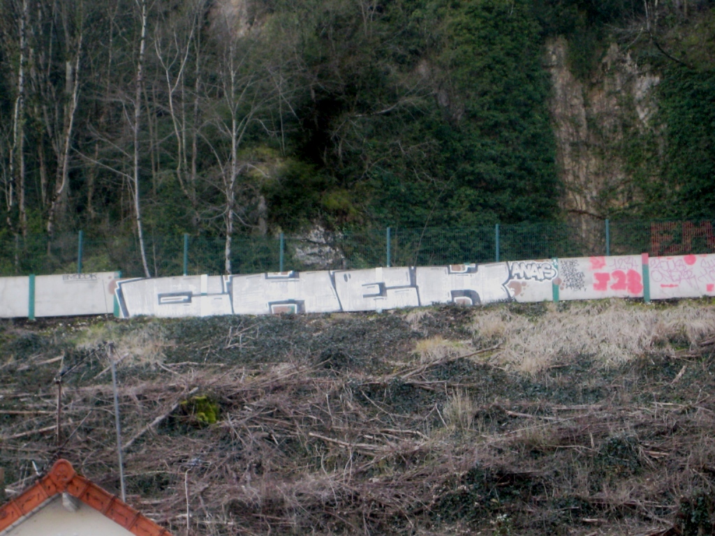 mars 2013 - besancon graffiti- chek
