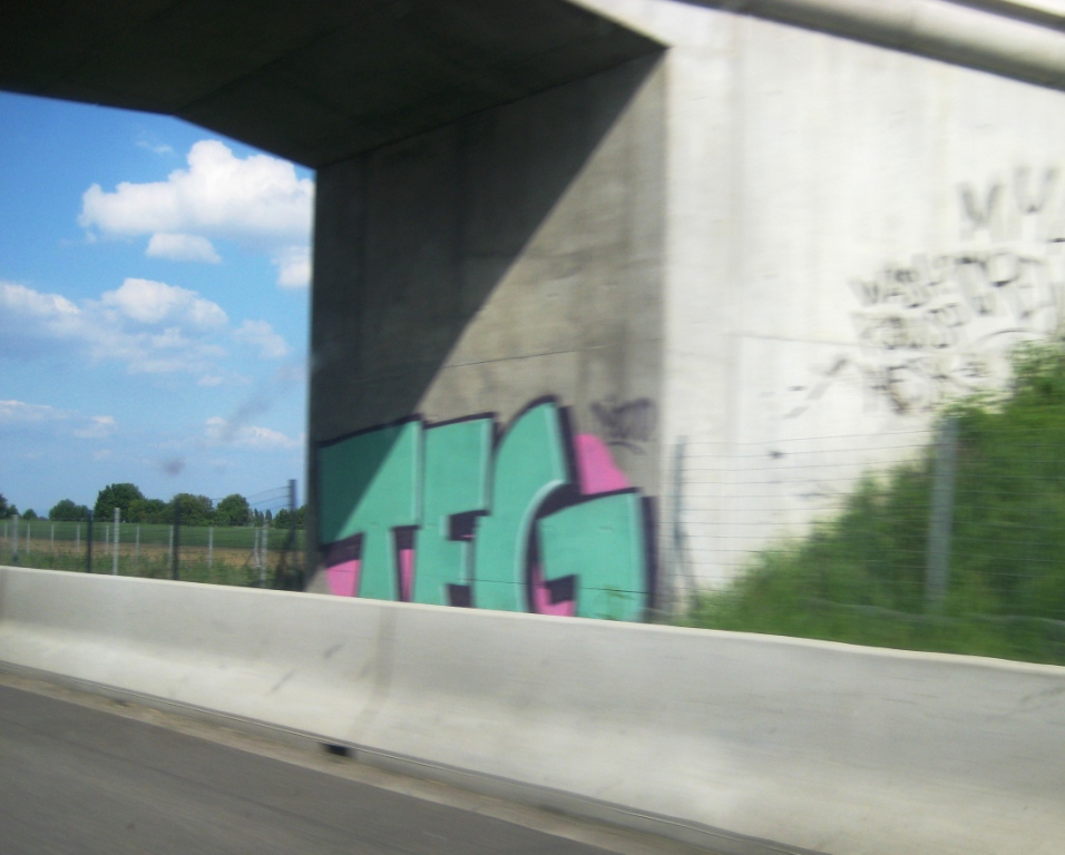 Alsace_graffiti_26.27.05.13 TFG