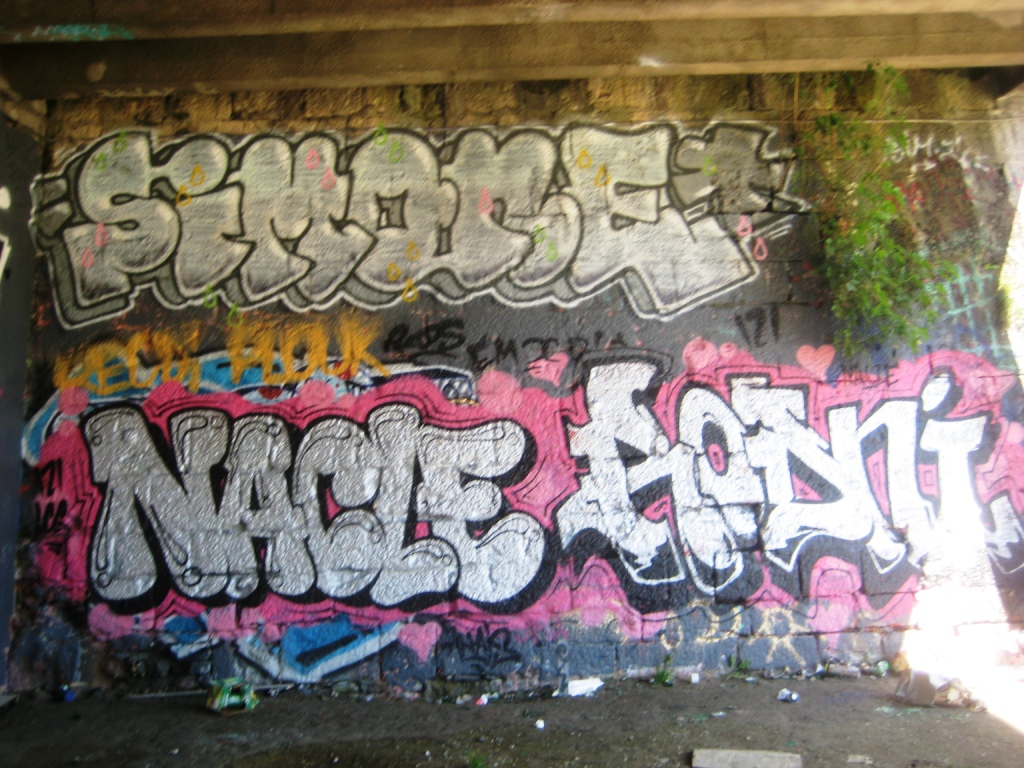 besancon_graffiti_26.27.05.13 nacle_simone_rodni