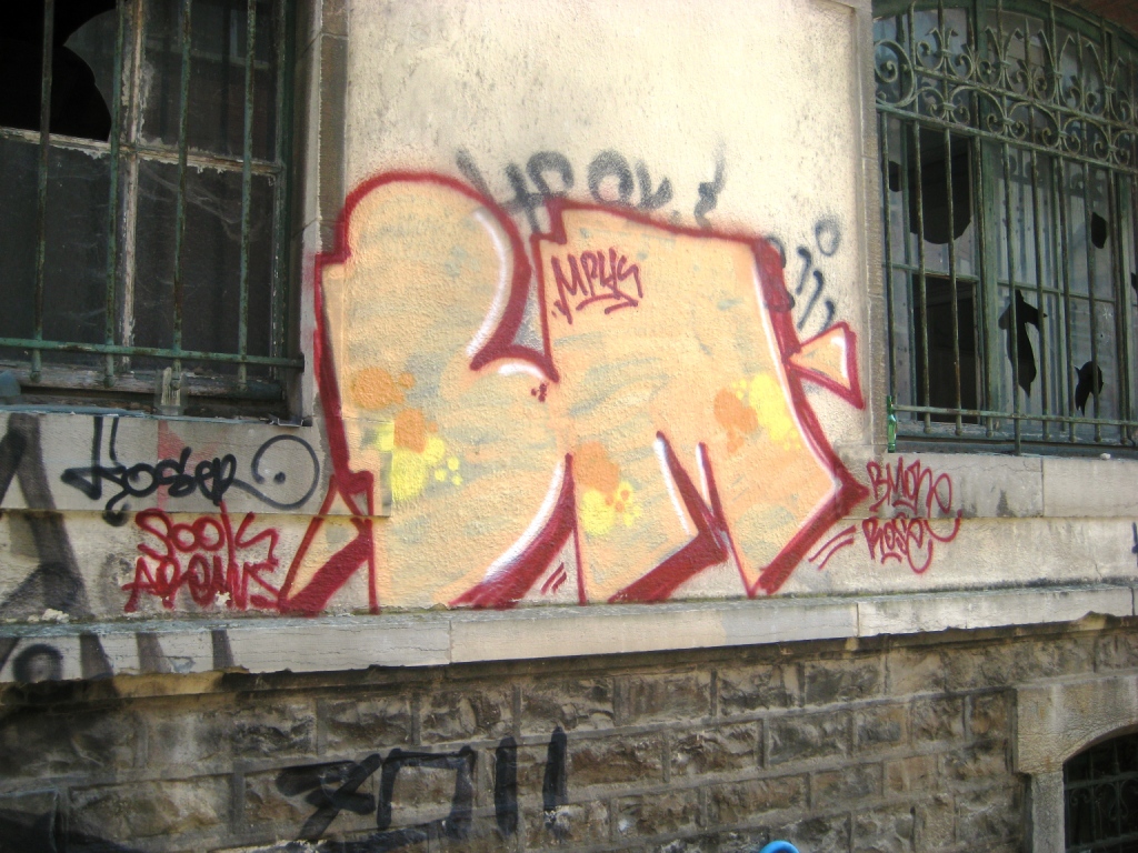 mars 2013 - besancon-graffiti-BM